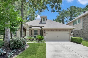 66 N Whistling Swan Pl in Spring, TX - Building Photo