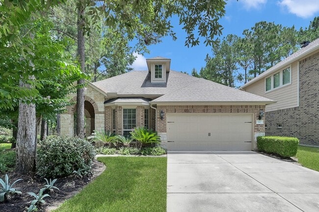 property at 66 N Whistling Swan Pl