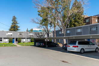 Pine Terrace Apartments in Concord, CA - Building Photo - Building Photo