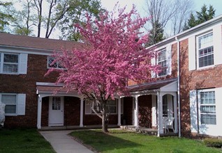 Woodruff Court Apartment Homes in Litchfield, CT - Building Photo - Building Photo