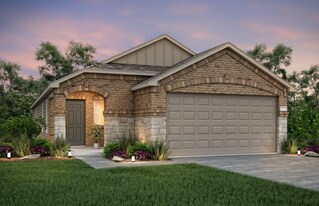 309 Maple Bark Trl in Willis, TX - Building Photo