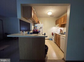 44790 Locust Ridge Ct