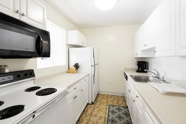 387 Commonwealth Ave, Unit 3