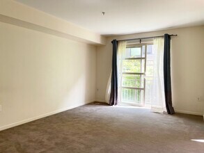 111 108th Ave NE in Bellevue, WA - Building Photo - Building Photo