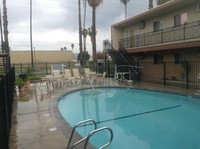 Sago Palms Apartments photo'