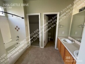 7054 Cattle Dr in Colorado Springs, CO - Building Photo - Building Photo
