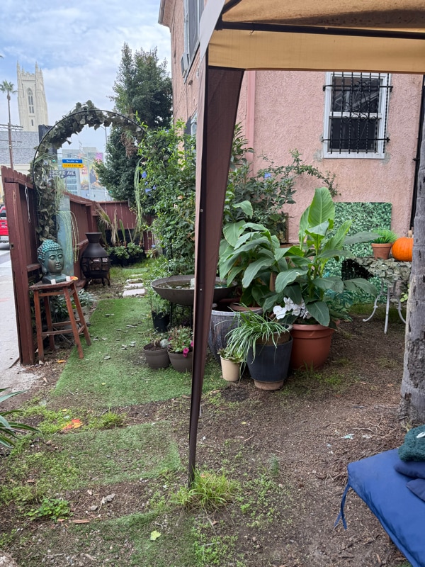 1781 Orchid Ave in Los Angeles, CA - Foto de edificio - Building Photo