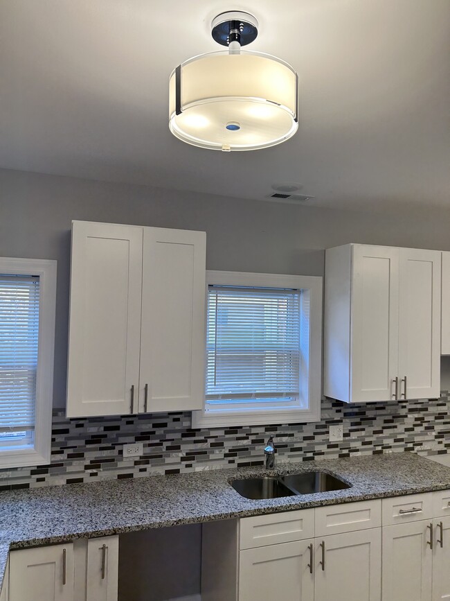 1516 N Lotus Ave in Chicago, IL - Building Photo - Building Photo