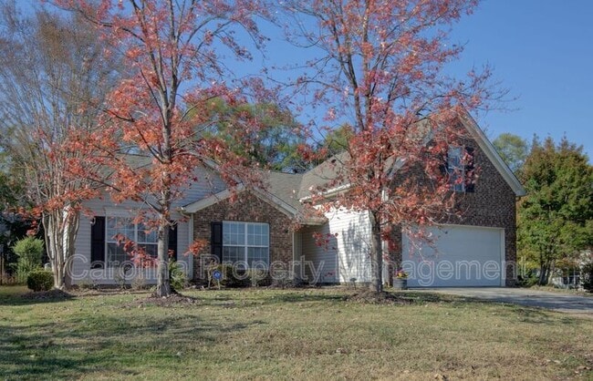 13343 Arbor Meadows Ct in Charlotte, NC - Building Photo - Building Photo