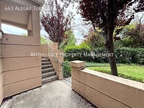443 Alegra Terrace in Milpitas, CA - Building Photo - Building Photo