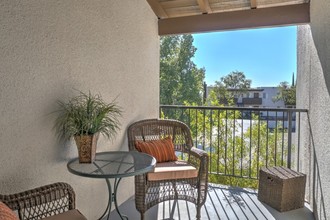 Casas Adobes Apartments in Tucson, AZ - Building Photo - Building Photo