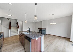 11917 Emery Village Dr N in Champlin, MN - Building Photo - Building Photo