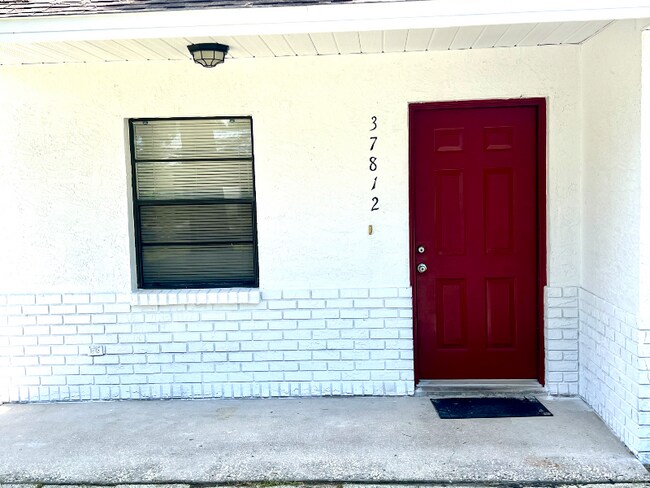 37812 15th Ave in Zephyrhills, FL - Building Photo - Building Photo
