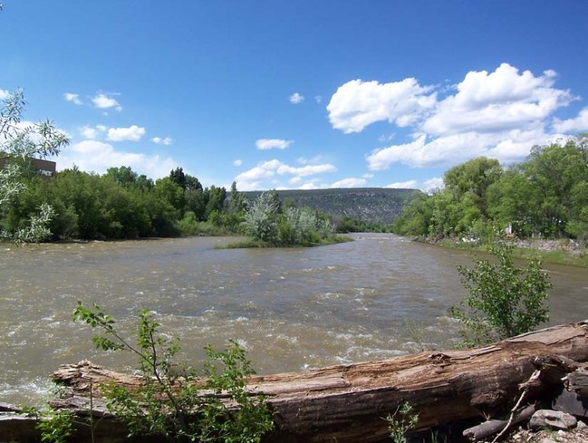 Island Cove Park in Durango, CO - Building Photo - Building Photo