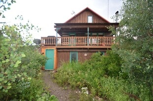 11 W 1st Ave in Alma, CO - Building Photo