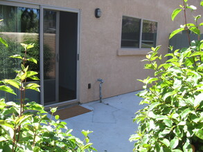 Eucalyptus Estates in Vista, CA - Building Photo - Building Photo