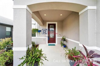 12149 Creek Preserve Dr in Riverview, FL - Building Photo - Building Photo