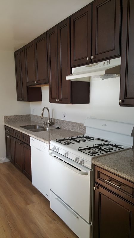 933 S Manhattan Pl in Los Angeles, CA - Building Photo - Building Photo