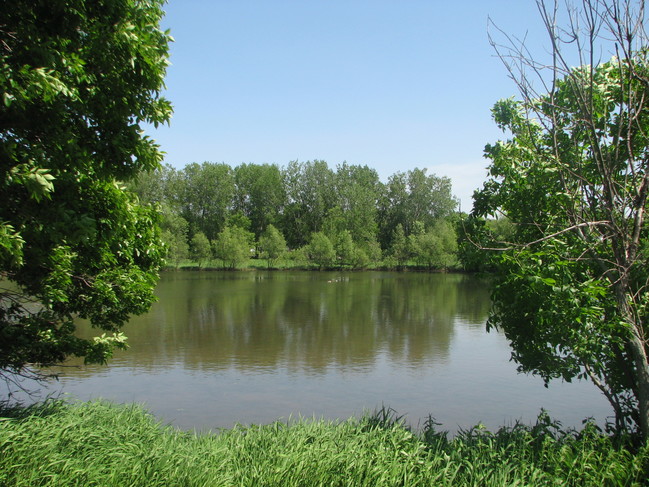 Pondview Apartments in Maplewood, MN - Building Photo - Building Photo