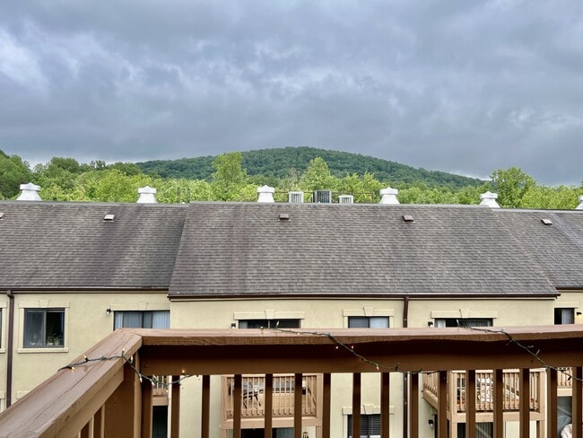 1000 Linden Ave in Charlottesville, VA - Building Photo - Building Photo
