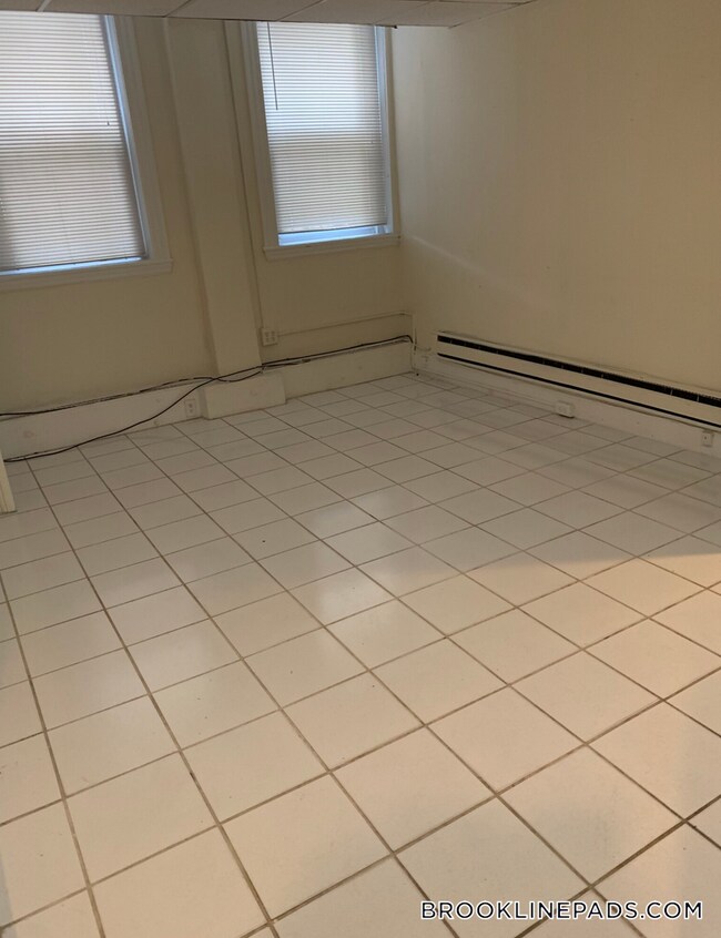 352 Riverway in Boston, MA - Building Photo - Building Photo