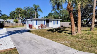 817 Ohio Ave in Palm Harbor, FL - Building Photo