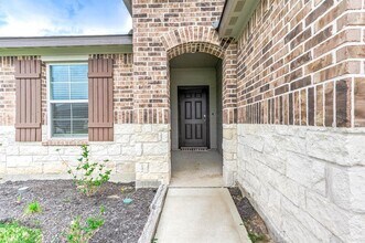 1010 Appaloosa Ln in Rosharon, TX - Building Photo - Building Photo