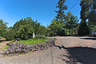 6490 Lone Pine Rd in Sebastopol, CA - Building Photo - Building Photo