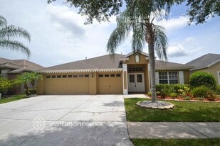 10547 San Travaso Dr in Tampa, FL - Building Photo