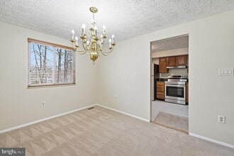 5831 Rock Forest Ct in Centreville, VA - Building Photo - Building Photo