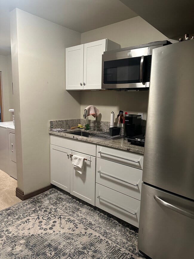 640 Lincoln Ave, Unit Basement in Carbondale, CO - Foto de edificio - Building Photo