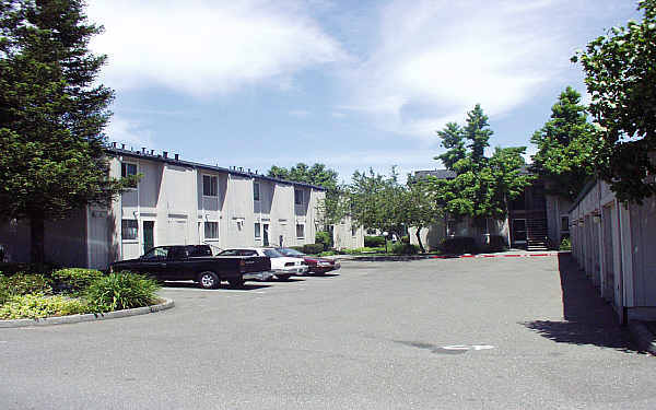 Mountain View Apartments in Santa Rosa, CA - Building Photo