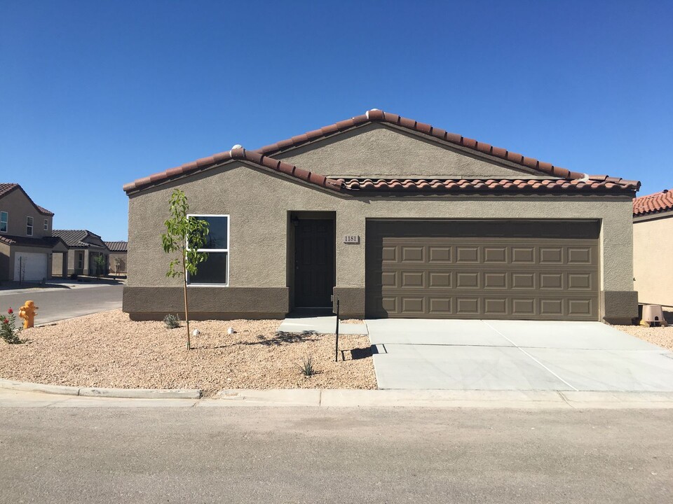 1181 River Valley Cir in Bullhead City, AZ - Building Photo