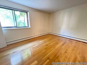 77 Trowbridge St in Cambridge, MA - Building Photo - Building Photo