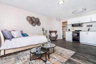 Standard Raintree in Tucson, AZ - Building Photo - Building Photo