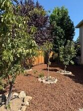 1395 Grove Ct in St Helena, CA - Building Photo - Building Photo