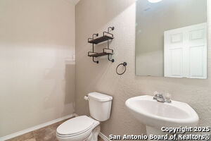 730 Trinity Star in San Antonio, TX - Building Photo - Building Photo