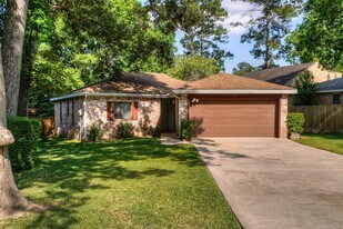25 Shady Oak Ln in Conroe, TX - Building Photo
