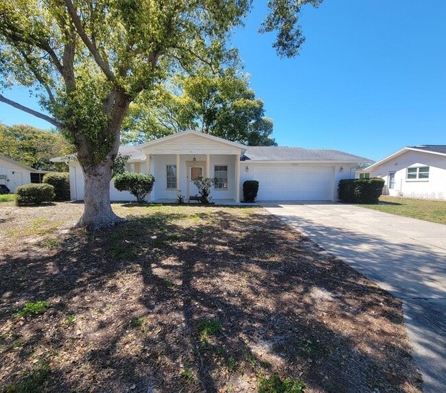 10329 Castalie Dr in Port Richey, FL - Building Photo - Building Photo