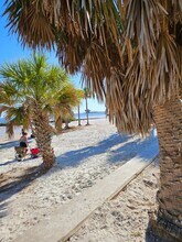 1100 N Shore Dr NE in St. Petersburg, FL - Building Photo - Building Photo