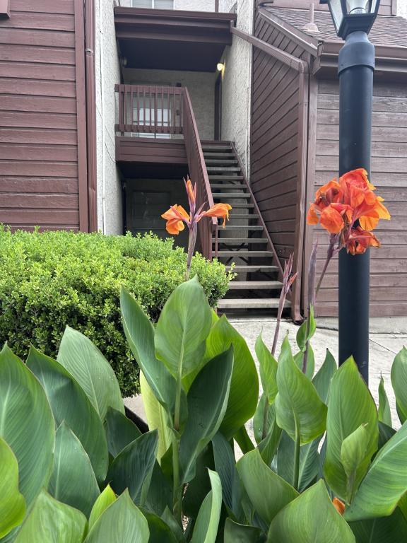 property at 10527 Perrin Beitel