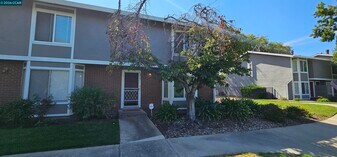 2828 Royal Ann Ln in Concord, CA - Building Photo