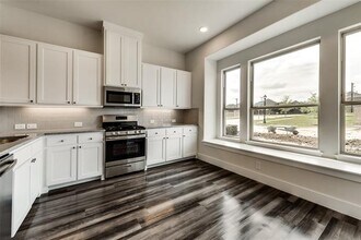 250 Buck Ridge Dr in Little Elm, TX - Building Photo - Building Photo