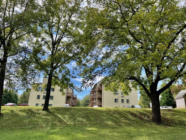 1000 Linden Ave in Charlottesville, VA - Building Photo - Building Photo