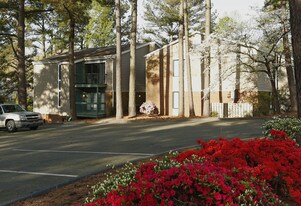 The Villages of Lake Boone Trail in Raleigh, NC - Building Photo
