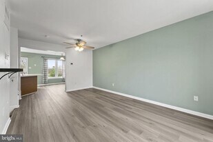 703 Horse Chestnut Ct in Odenton, MD - Building Photo