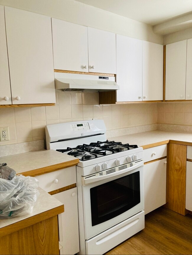 4747 S Kildare Ave, Unit Basement in Chicago, IL - Building Photo - Building Photo