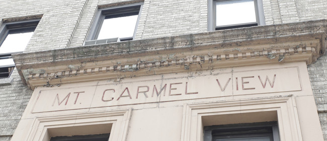 Mt Carmel View in Bronx, NY - Building Photo - Building Photo