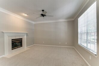 30 Petalcup Pl in Spring, TX - Building Photo - Building Photo