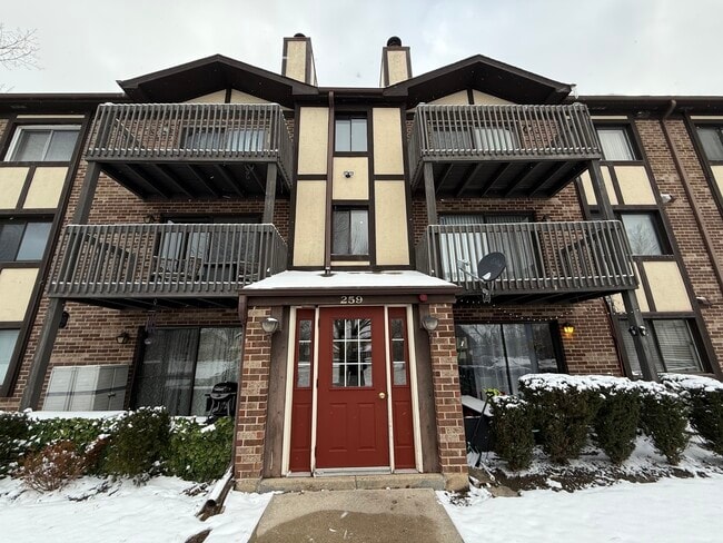 259 Stoneybrook Ln in Bloomingdale, IL - Building Photo - Building Photo